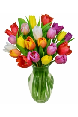 Színes tulipánok mini