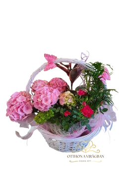 HortenziaHarmónia Kosár 6.