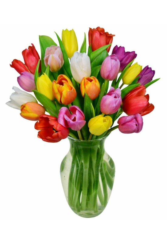 Színes tulipánok mini