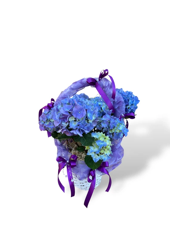 Májuskosár hortenziával 6.